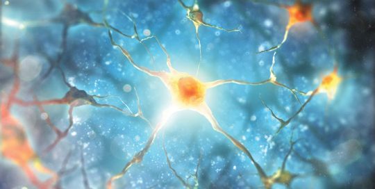 Mehr Lebensqualität durch zerebrale Computersteuerung