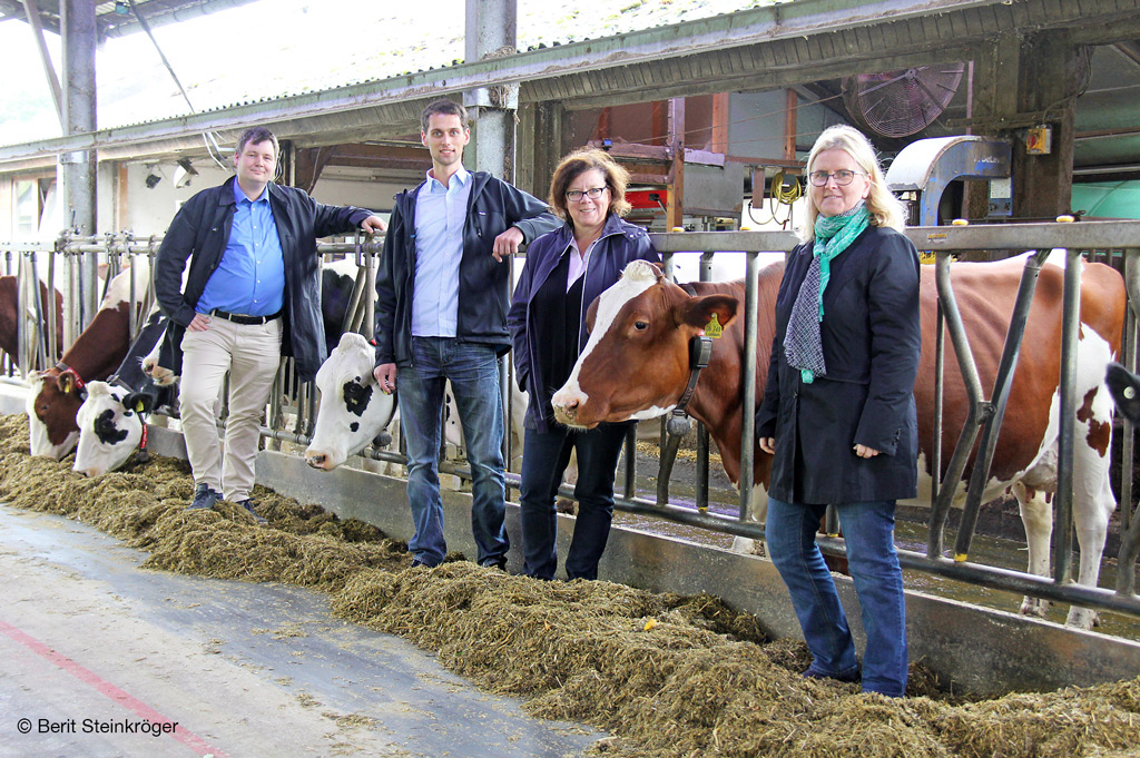 Projekt der FH Bielfeld entwickelt eine umweltfreundliche Beleuchtung für den Kuhstall (Bild: Berit Steinkröger).