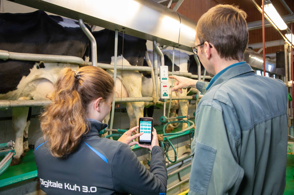 Das Projekt „Digitale Kuh 3.0“ soll Landwirte dabei unterstützen, die Tiergesundheit ihrer Milchkühe zu verbessern (Bild: FH Südwestfalen | Nils Lenfers).