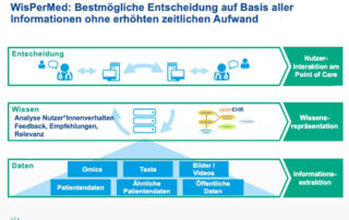 Grafik aus Forschungsprojekt des Graduiertenkollegs WisPerMed