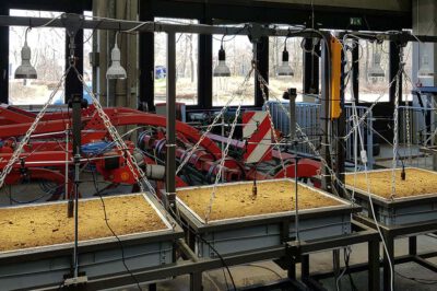 Im Rahmen der Versuche werden unterschiedliche Aussaattiefen und Bodentypen untersucht