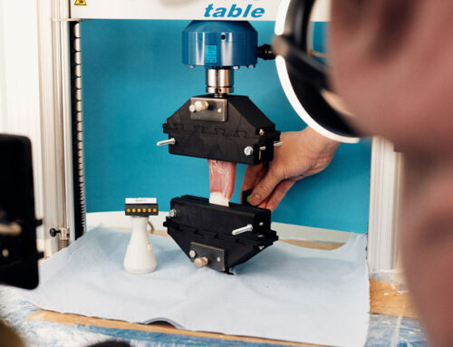Digitaler Zwilling der Bauchdecke