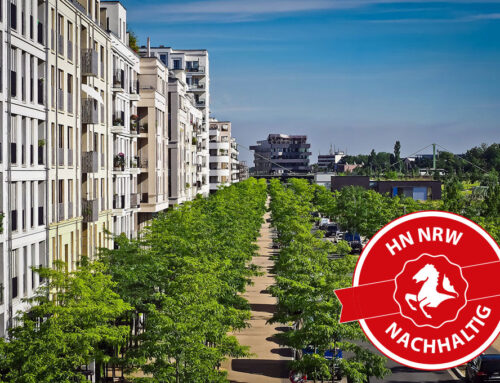 Mit duktilen Gussrohren und Steinwolle zu einem besseren Stadtklima