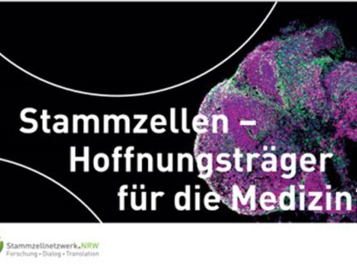 Stammzellnetzwerk.NRW