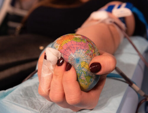 Aufbaustart für neues Transfusions-Register