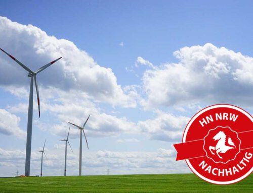 Hohe Akzeptanz für Windkraftanlagen im Sauerland