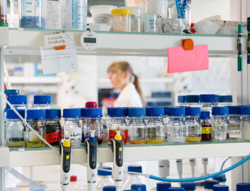 HSBI und Uni Tübingen entwickeln Glyphosat-Alternative