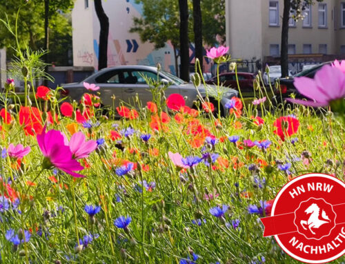Campusgarten als Ort der Begegnung im Quartier
