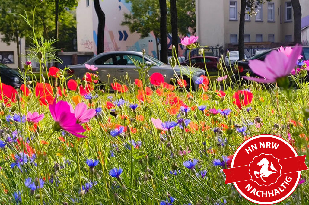 csm_2025-12-17-Nachbarschaftsgarten_429145c405