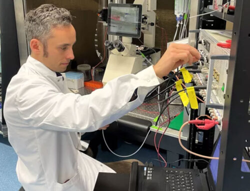 Ionenkanal TMEM175 als Schlüssel zur Parkinson-Vorbeugung