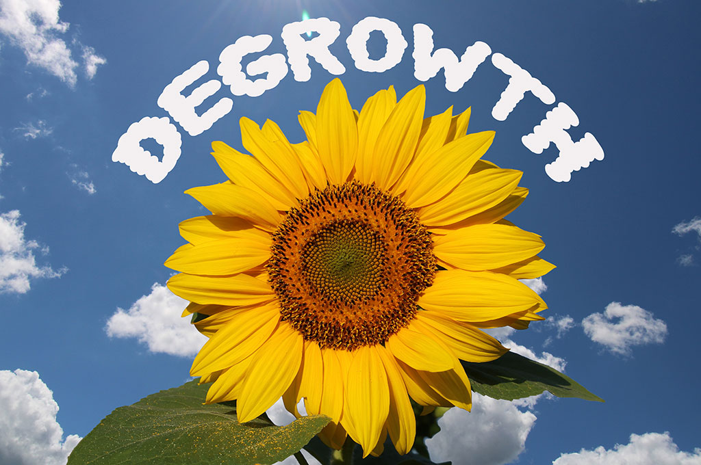 AdobeStock_647080547 Eine Sonnenblume vor einem blaune Himmel mit einer Beschriftung darüber "DEGROWTH"