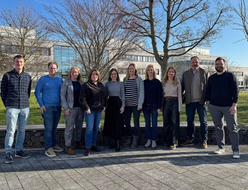 Digi-Co: HSHL stärkt KMU mit KI und digitalen Schnittstellen