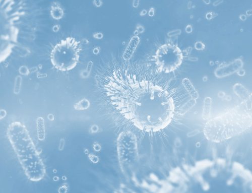 Neuartiges Diagnoseverfahren für virale und bakterielle Infektionen
